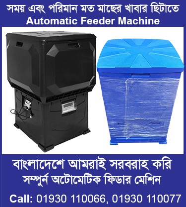 Automatic Feeder Box