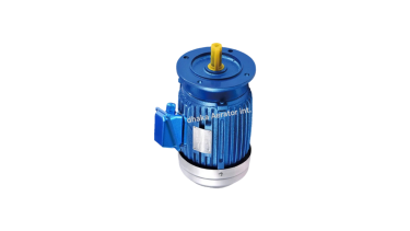 Double Speed Aerator Motor